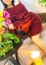 完熟ばなな千葉 のあ
