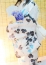 完熟ばなな横浜 まゆこ