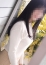 人妻出逢い会 百合の園 池袋店 百江美(もえみ)