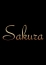 さくら 菊池