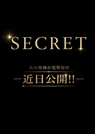 出会い系人妻ネットワーク品川～東京編 まこ