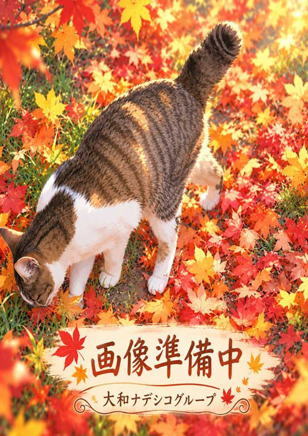 大和ナデシコ~五十路 あきら