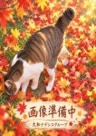 あきら