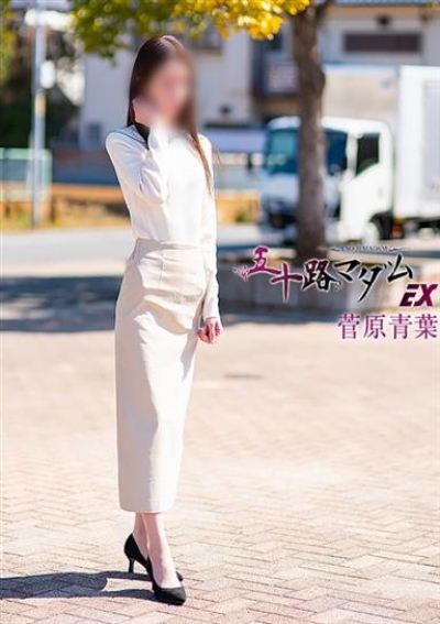 五十路マダムエクスプレス船橋店(カサブランカグループ) 菅原青葉