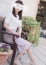 昼顔妻 蓮見